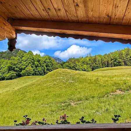 Urlaubshof Kranvogllehen مزرعة للإقامة
